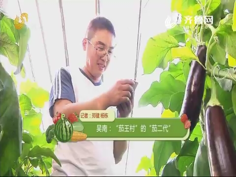 【种植达人】吴南：“茄王村”的“茄二代”