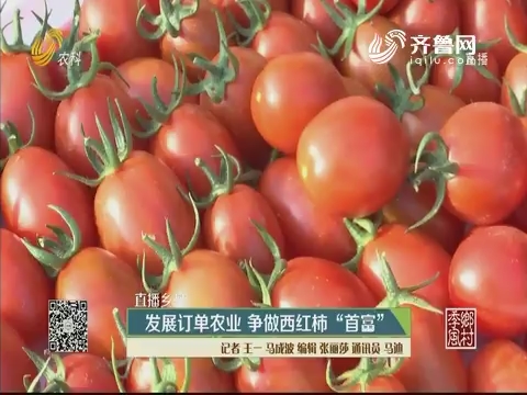 【直播乡村】发展订单农业 争做西红柿“首富”