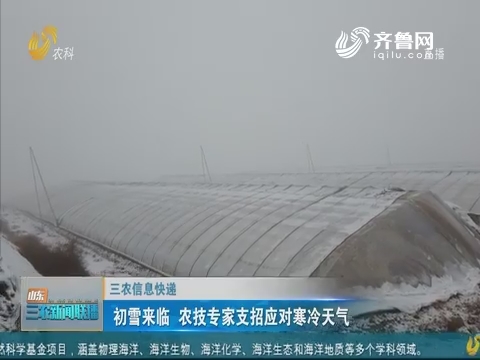 【三农信息快递】初雪来袭 农技专家支招应对寒冷天气
