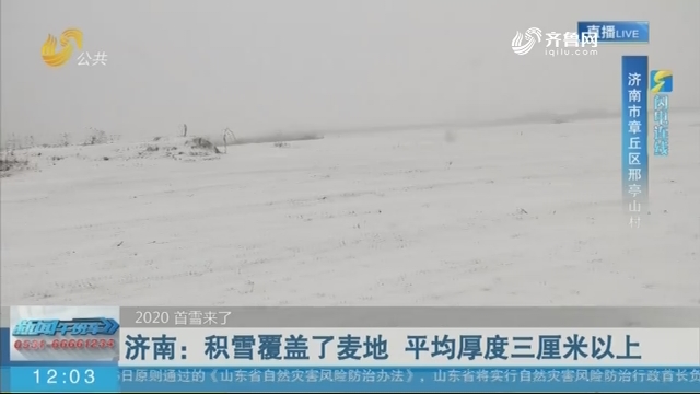 【2020 首雪来了】闪电连线 济南：积雪覆盖了麦地 平均厚度三厘米以上