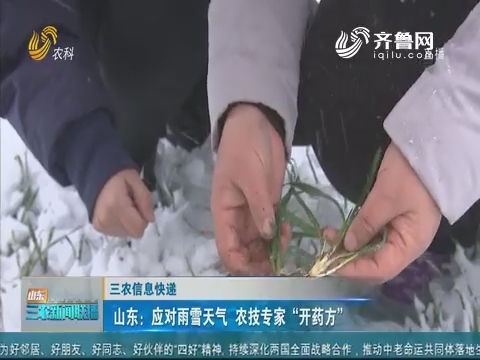 【三农信息快递】山东：应对雨雪天气 农技专家“开药方”