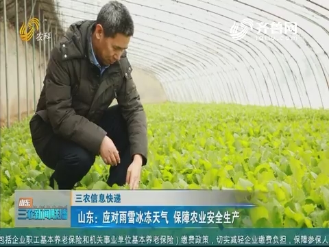 【三农信息快递】山东：应对雨雪冰冻天气 保障农业安全生产