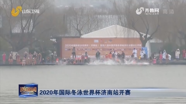 2020年国际冬泳世界杯济南站开赛