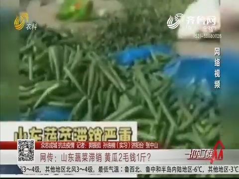【众志成城 抗击疫情】网传：山东蔬菜滞销 黄瓜2毛钱1斤?