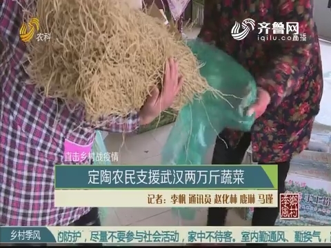 【直击乡村战疫情】定陶农民支援武汉两万斤蔬菜