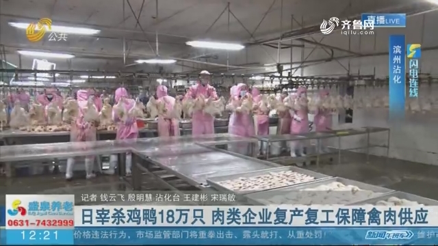 【闪电连线】日宰杀鸡鸭18万只 肉类企业复产复工保障禽肉供应