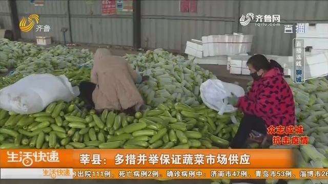 莘县：多措并举保证蔬菜市场供应
