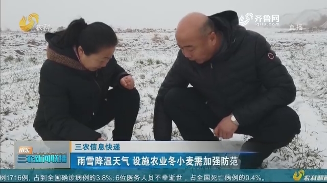 【三农信息快递】雨雪降温天气 设施农业冬小麦需加强防范