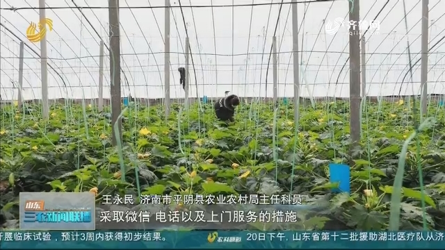 【战疫情 保春耕】济南：“智慧农业”让春季生产更便捷