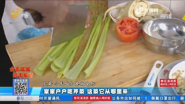 淄博：家家户户吃芹菜 这菜它从哪里来？