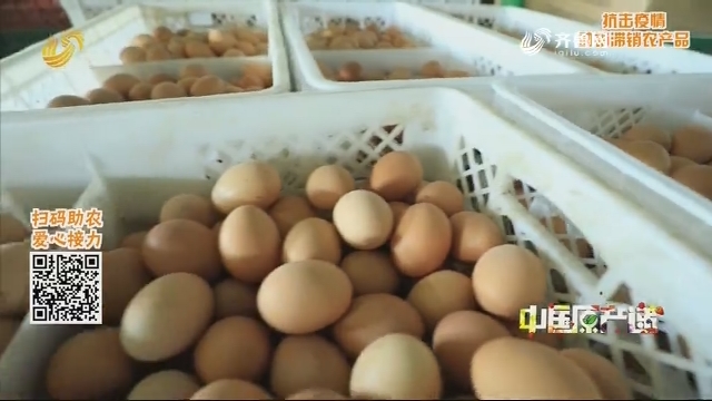 【中国原产递 助农大接力】爱心助销滞销优质鸡蛋