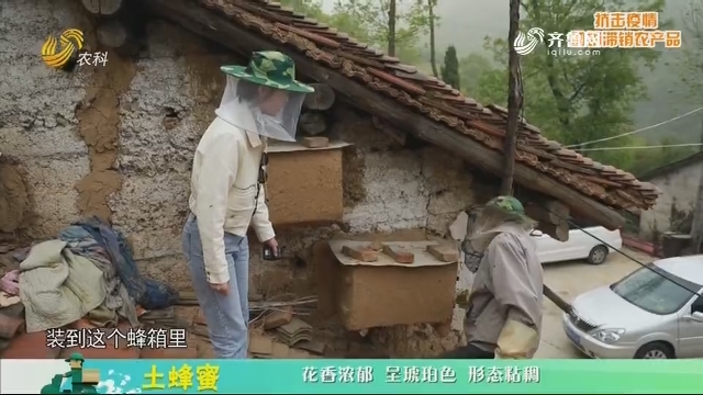 20200226《中国原产递》：土蜂蜜