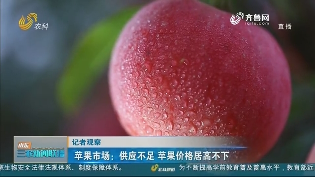 【记者观察】苹果市场：供应不足 苹果价格居高不下