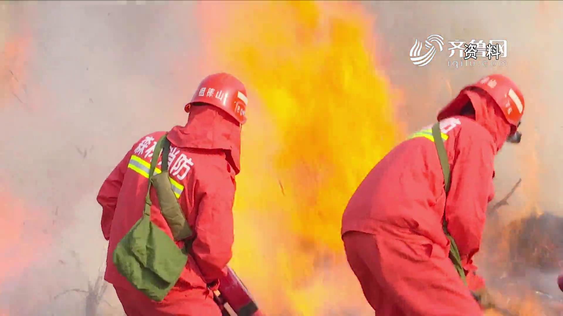 《问安齐鲁》20200301：山东印发《全省森林消防专业队伍建设实施方案》