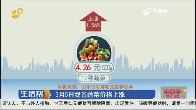 3月5日山东省蔬菜价格上涨