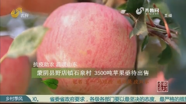 【抗疫助农 温暖山东】蒙阴县野店镇石泉村 3500吨苹果亟待出售