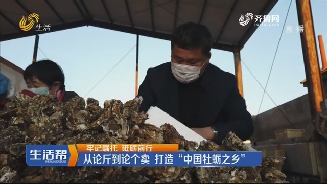 【牢记嘱托 砥砺前行】威海：从论斤到论个卖 打造“中国牡蛎之乡”