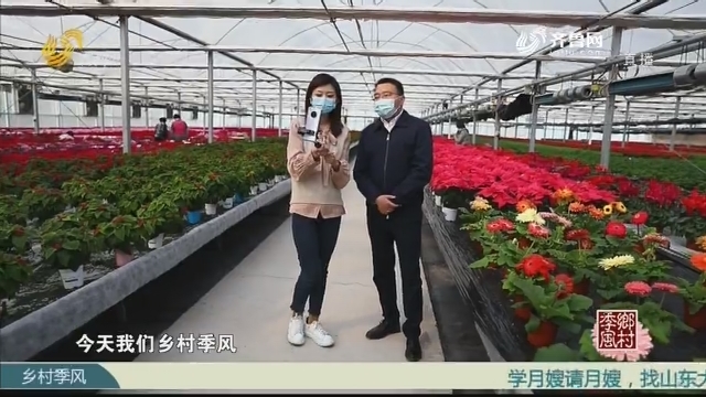 【抗疫助农 温暖山东】网红县长不“吃鸡”，来吆喝卖花