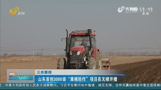 【三农要闻】山东首创3000亩“草棉轮作”项目在无棣开播