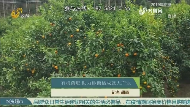 【小螺号·农技服务直通车】有机菌肥 助力砂糖橘成就大产业