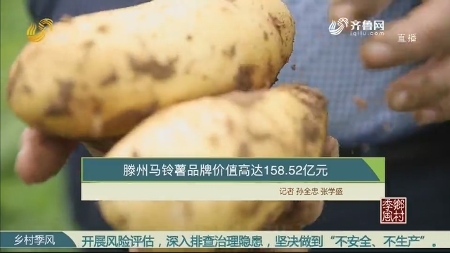 滕州马铃薯品牌价值高达158.52亿元