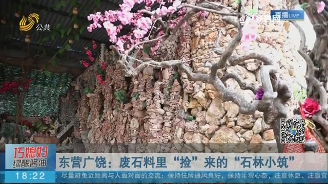 【美丽庭院】东营广饶：废石料里“捡”来的“石林小筑”