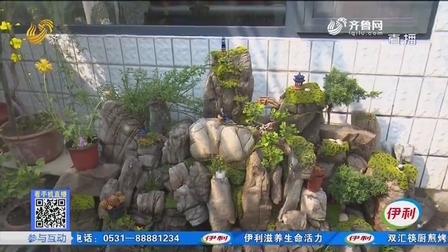 青州：淘石头垒假山 动手打造小院园林