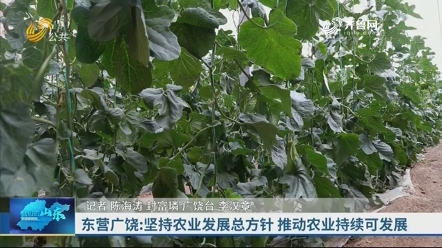 东营广饶：坚持农业发展总方针 推动农业持续可发展