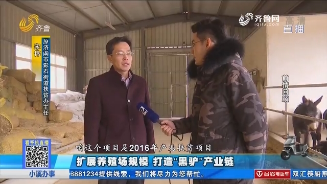 济南：扩展养殖场规模 打造“黑驴”产业链
