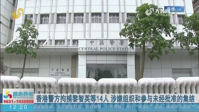 香港警方拘捕黎智英等14人 涉嫌组织和参与未经批准的集结