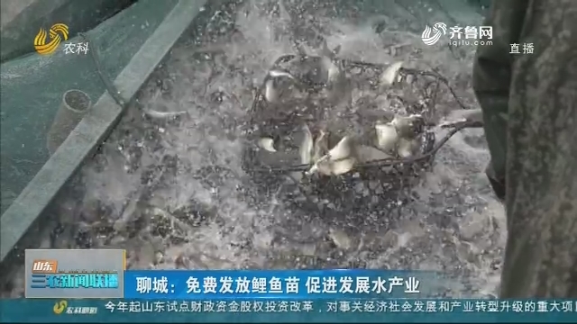 【战疫情 促生产】聊城：免费发放鲤鱼苗 促进发展水产业