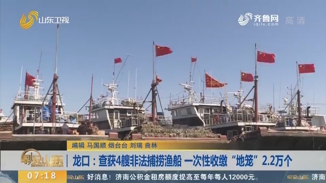 龙口：查获4艘非法捕捞渔船 一次性收缴“地笼”2.2万个