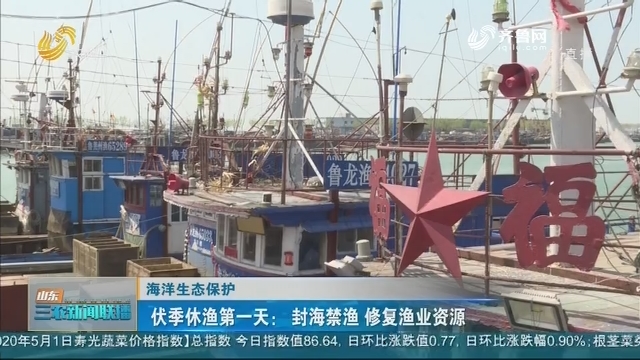 【海洋生态保护】伏季休渔第一天：封海禁渔 修复渔业资源