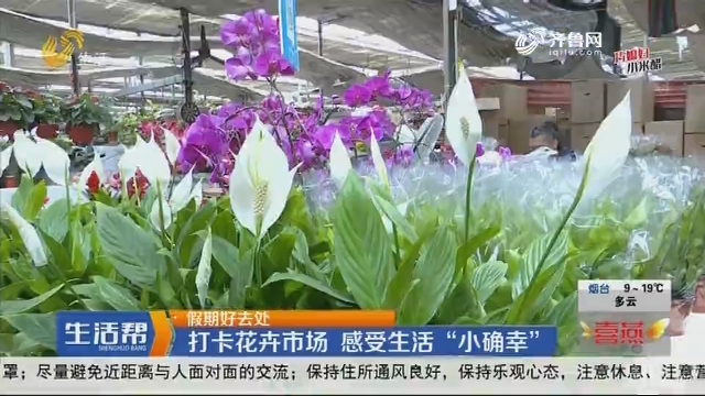 【假期好去处】济南：打卡花卉市场 感受生活“小确幸”