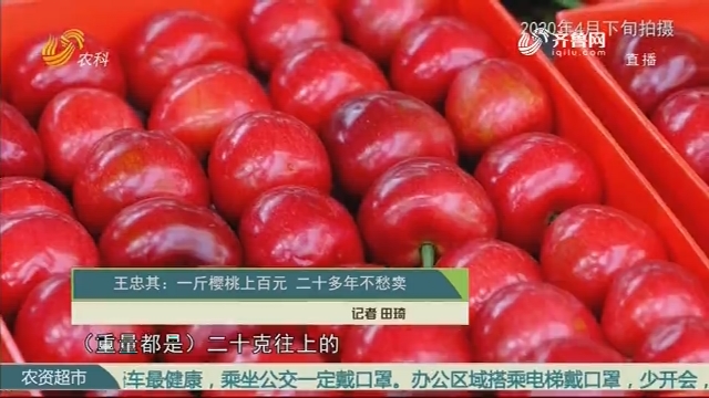 王忠其：一斤樱桃上百元 二十多年不愁卖