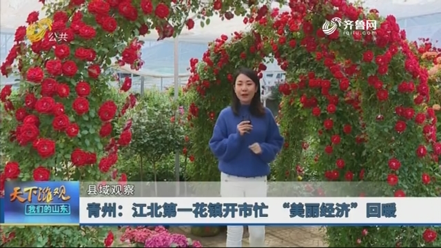 【县域观察】青州：江北第一花镇开市忙 “美丽经济”回暖