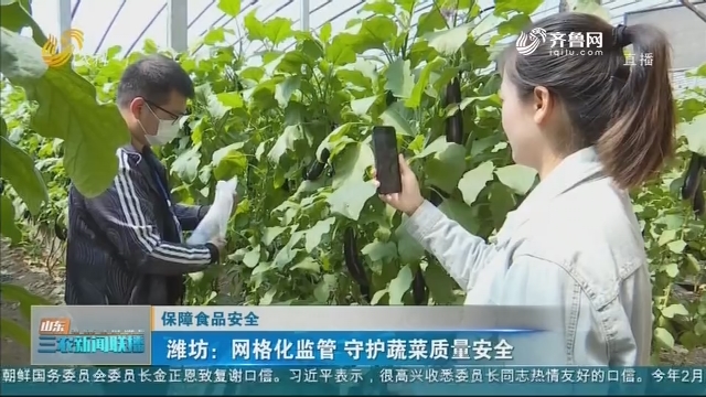 【保障食品安全】潍坊：网格化监管 守护蔬菜质量安全