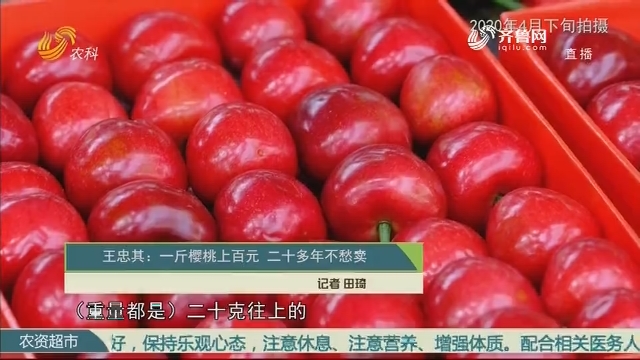 王忠其：一斤樱桃上百元 二十多年不愁卖