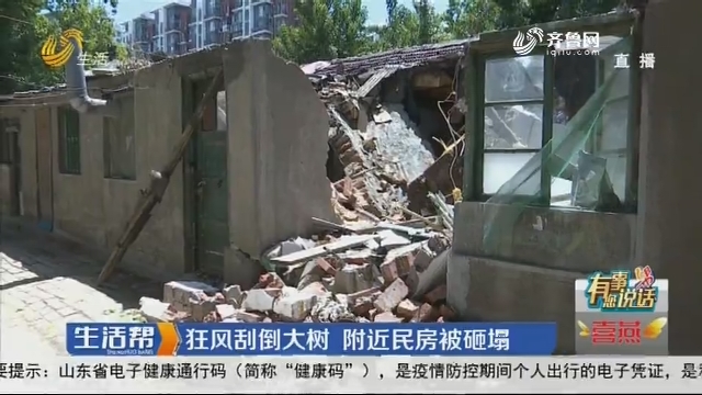 济南：狂风刮倒大树 附近民房被砸塌