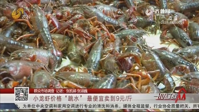 【群众市场调查】小龙虾价格“跳水” 最便宜卖到9元/斤