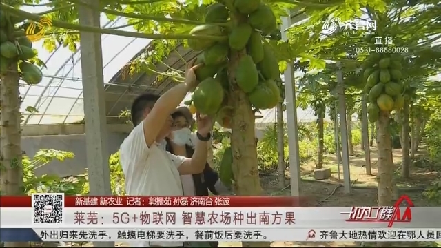 【新基建 新农业】莱芜：5G+物联网 智慧农场种出南方果