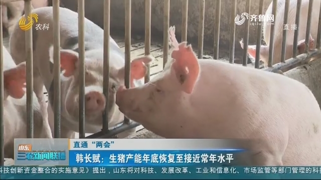 【直通“两会”】韩长赋：生猪产能年底恢复至接近常年水平