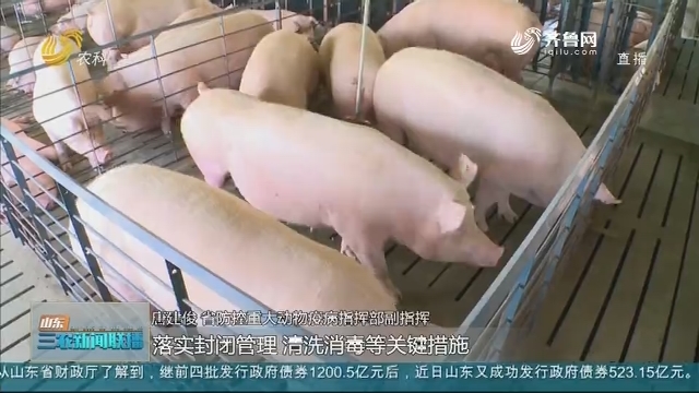 【稳定生猪市场】加强非洲猪瘟防控 保障生猪市场稳定