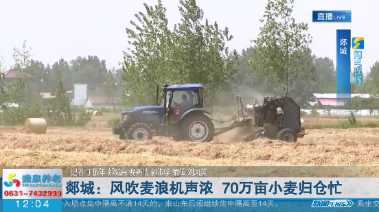 【闪电连线】关注小麦收割季——郯城：风吹麦浪机声浓 70万亩小麦归仓忙