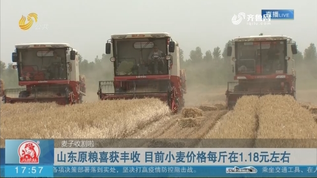 山东原粮生产充足 目前小麦价格每斤在1.18元左右