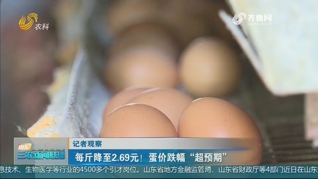 【记者观察】每斤降至2.69元！蛋价跌幅“超预期”