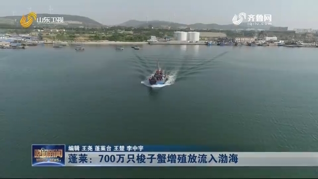 蓬莱：700万只梭子蟹增殖放流入渤海