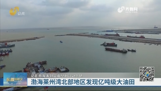 渤海莱州湾北部地区发现亿吨大油田