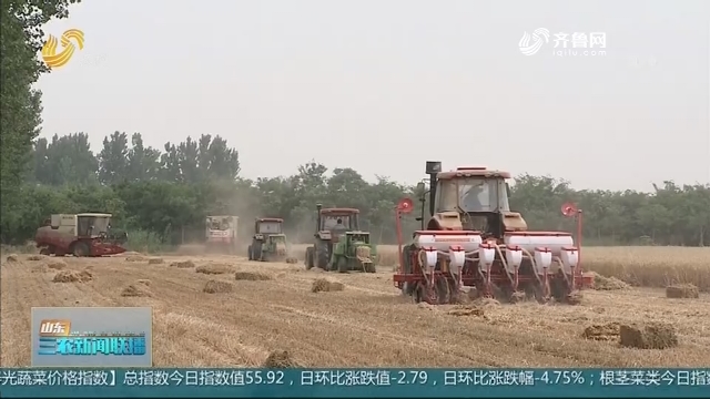 【“三夏”进行时】山东：麦收面积超三成 “收种一体”成亮点