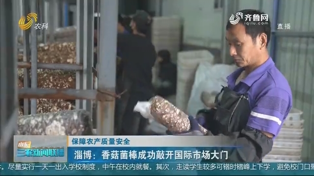 【保障农产质量安全】淄博：香菇菌棒成功敲开国际市场大门